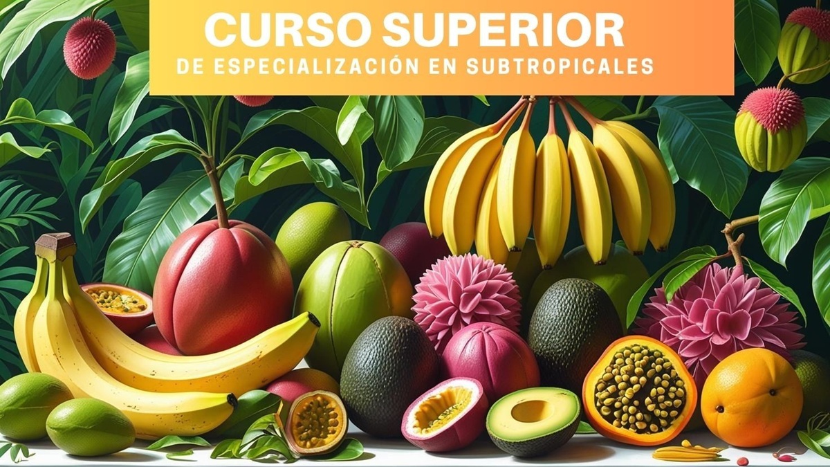 Nuevo Curso Superior de Especialización en Subtropicales de la SECH|Curso SECH Tropicales